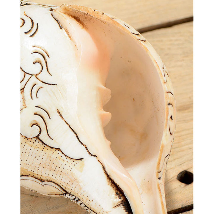 Tibetan Handmade Engraved Shankha Buddha Avalokitesvara Conch Shell Wealth Decoration - image 5