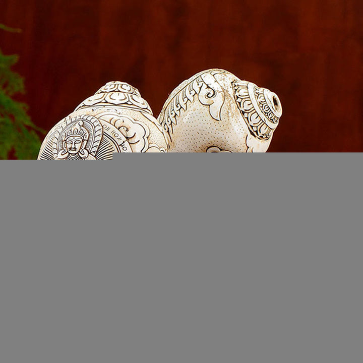 Tibetan Handmade Engraved Shankha Buddha Avalokitesvara Conch Shell Wealth Decoration - image 1