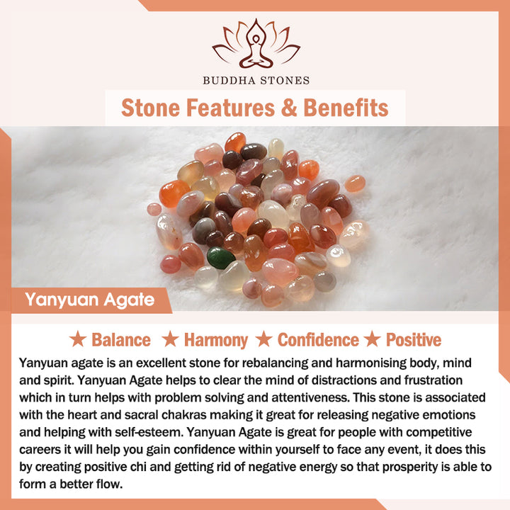 Buddha Stones Yanyuan Agate Cat Claw Paw White Bodhi Seed Fu Character Positive Braided Rope Bracelet - image 7