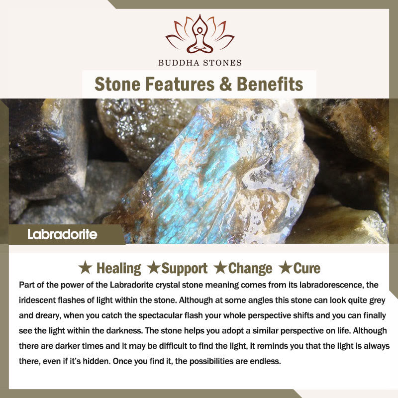 Buddha Stones Lucky Cat Copper Coin Turquoise Labradorite Pink Crystal Amethyst Strength Home Decoration - image 4