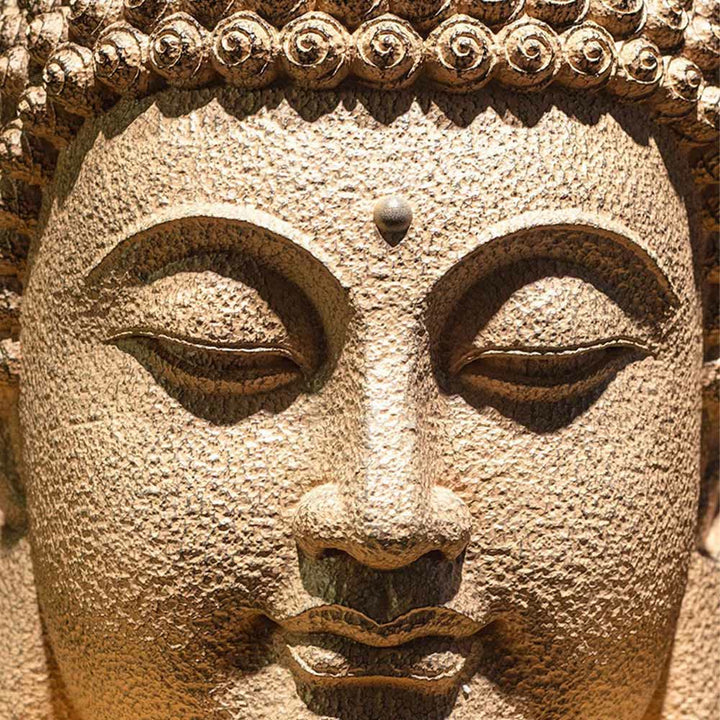 Buddha Stones Closed Eyes Meditating Buddha Head Resin Statue Zen Home Decoration 42*30*30cm