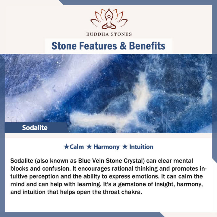 Buddha Stones Natural Various Stones Elephant Spiritual Strength Bracelet - image 3