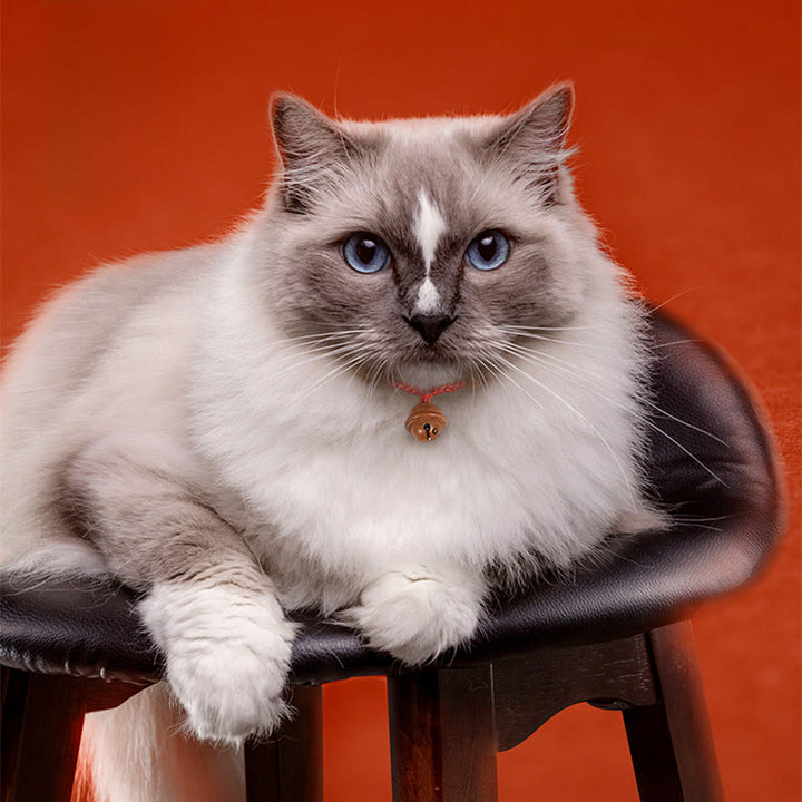 Buddha Stones Red String Peach Wood Bead Bell Strength Adjustable Cats Small Dogs Pet Collar - image 12