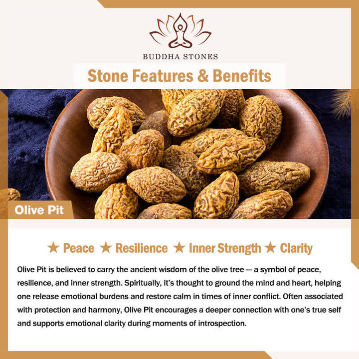 Buddha Stones Natural Olive Pit Peridot Bamboo Design Protection Bracelet - image 6