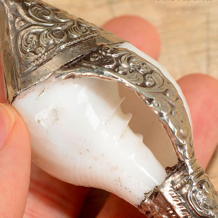 Tibetan Natural Shankha Conch Shell Seashell Wealth Lucky Home Decoration - image 5