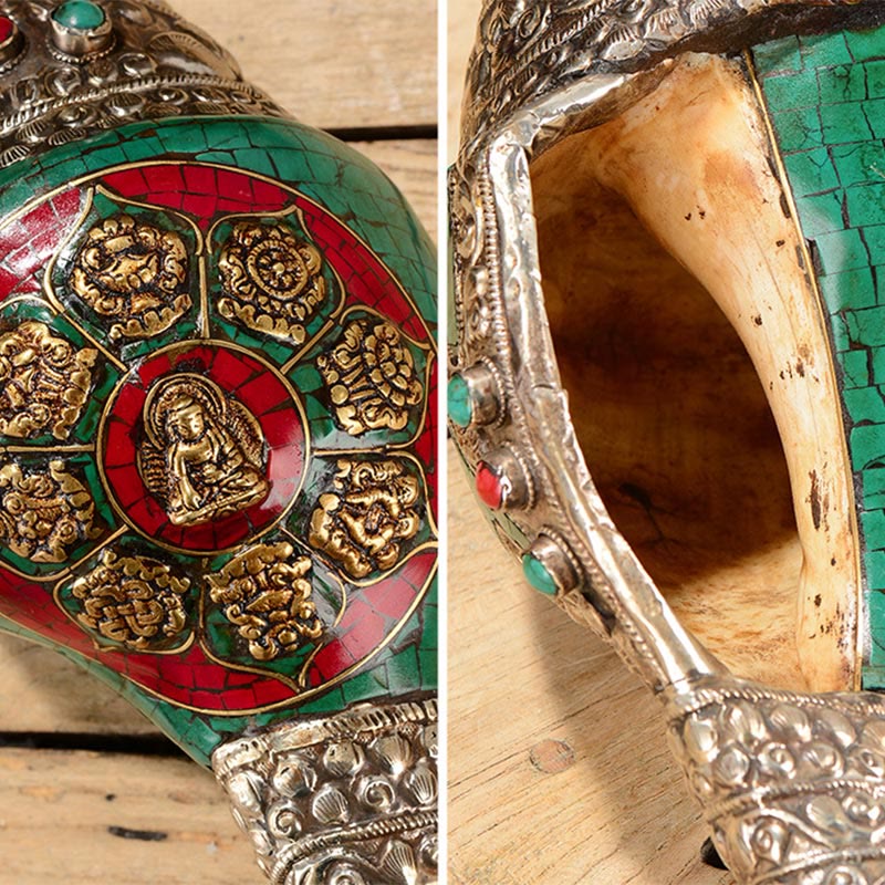 Tibetan Handmade Engraved Shankha Double Dorje Buddha Conch Shell Wealth Positive Decoration - image 12