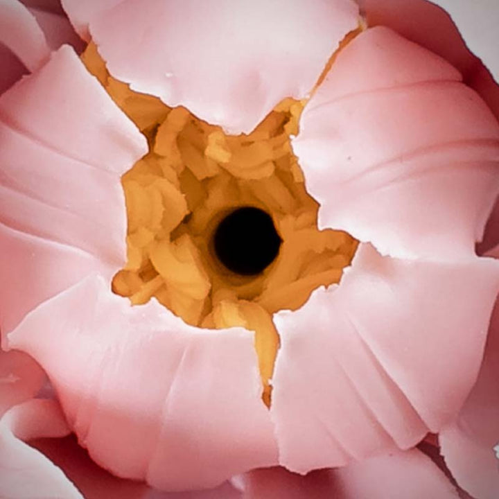 Tibetan Lotus Blessing Ceramic Stick Incense Burner Decoration - image 4