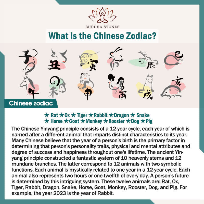 12 Chinese Zodiac Blessing Wealth Fortune Necklace Pendant - image 29