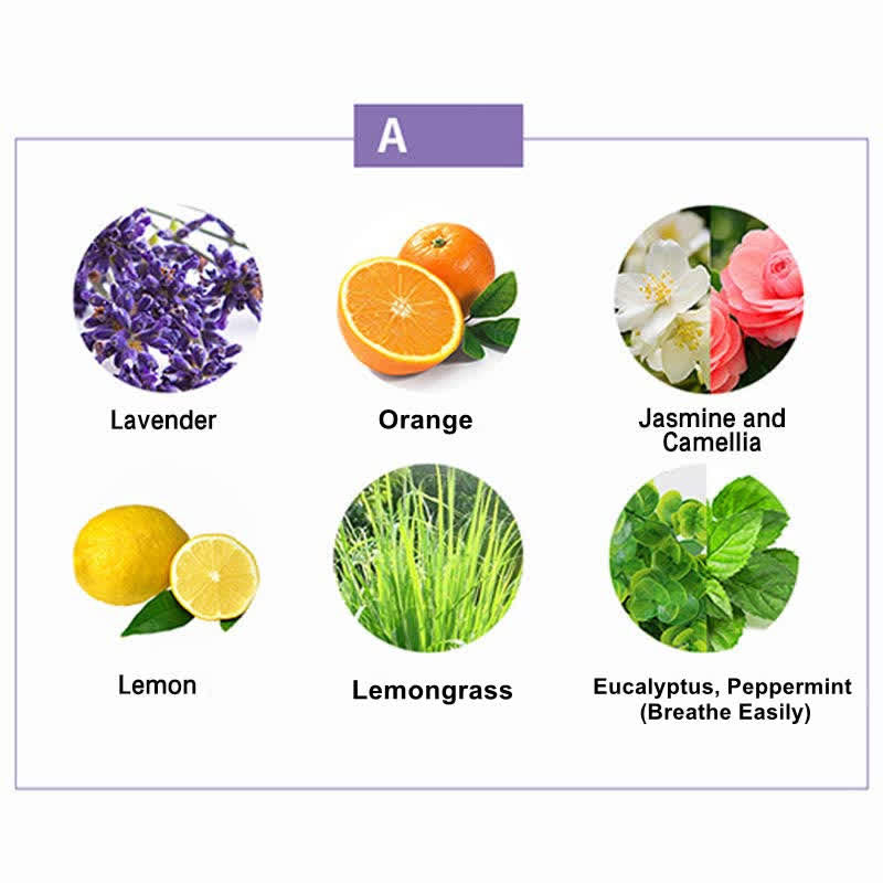 6Pcs Lavender Orange Jasmine Lemongrass Soothing Aromatherapy Healing Essential Oils Set