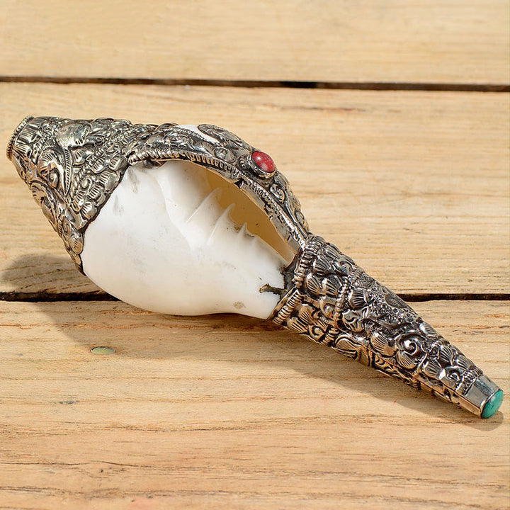 Tibetan Natural Shankha Conch Shell Seashell Wealth Lucky Home Decoration