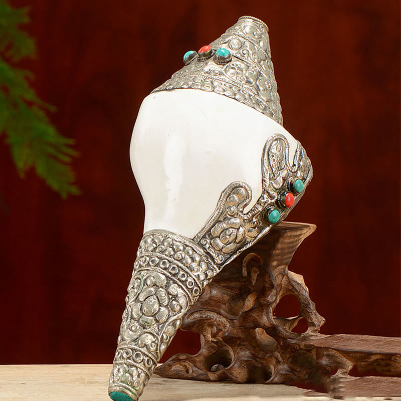 Tibetan Natural Shankha Conch Shell Seashell Wealth Lucky Home Decoration