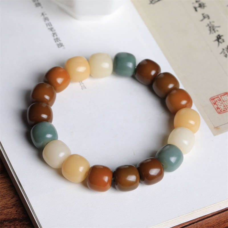 Buddha Stones Multicolored Bodhi Seed Keep Away Evil Spirits Bracelet