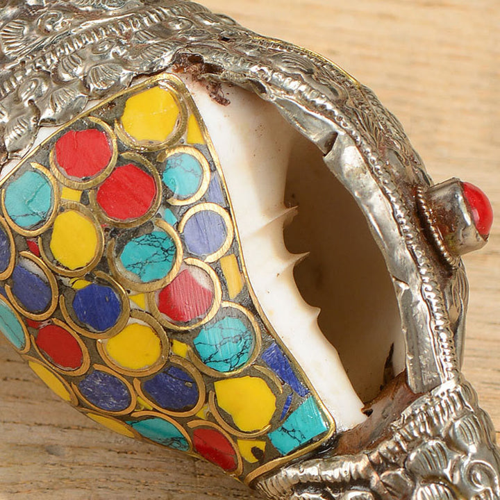 Tibetan Handmade Natural Shankha Colorful Conch Shell Seashell Wealth Home Decoration