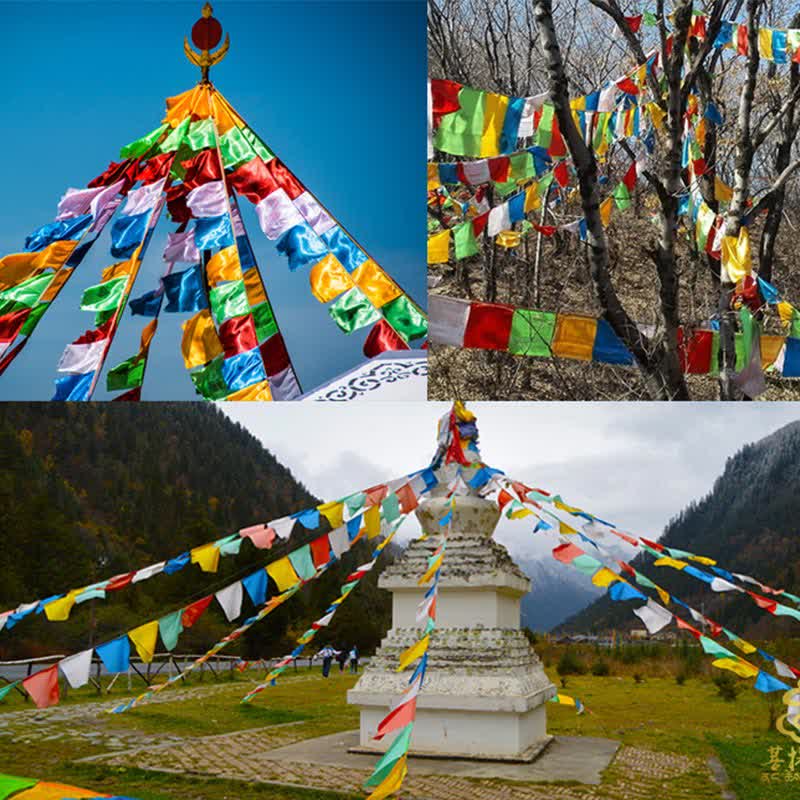 Tibetan 5 Colors Windhorse Blessing Outdoor 20 Pcs Prayer Flag