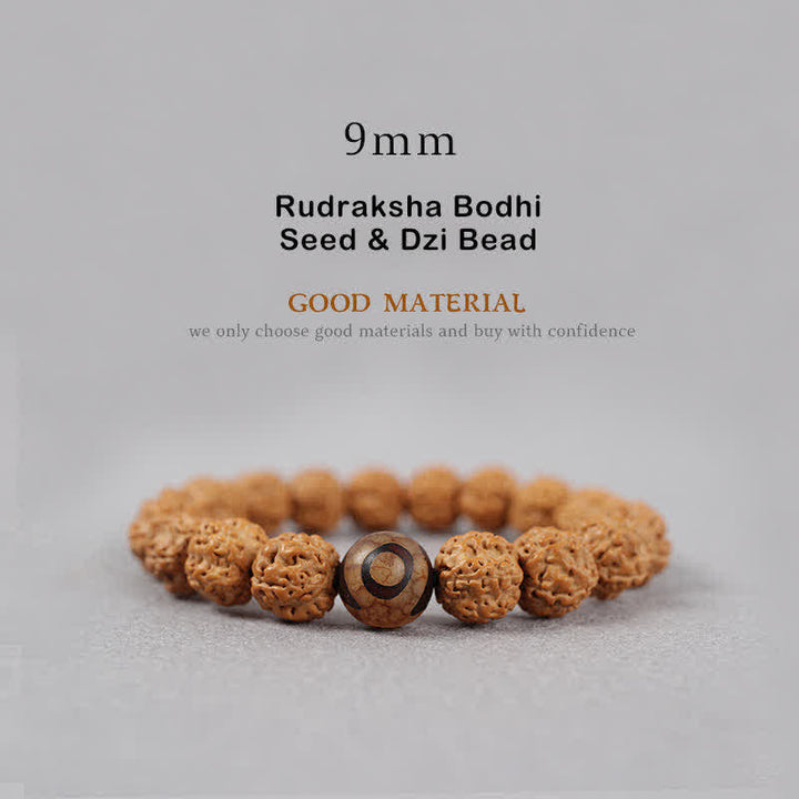 Buddha Stones Tibet Rudraksha Bodhi Seed Dzi Bead Amber Turquoise Wealth Bracelet